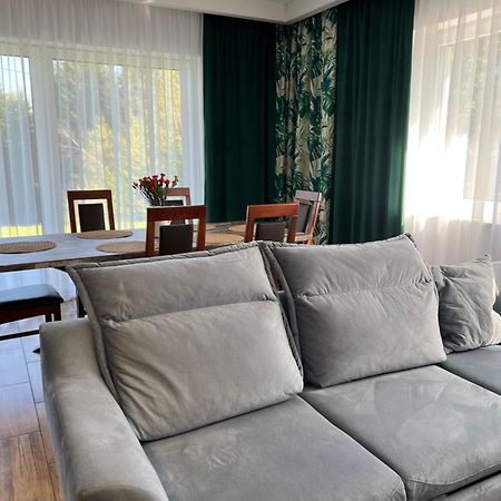Apartmán Dom Na Borowkowym Wzgorzu Palesnica Exteriér fotografie