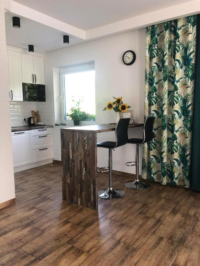 Apartmán Dom Na Borowkowym Wzgorzu Palesnica Exteriér fotografie