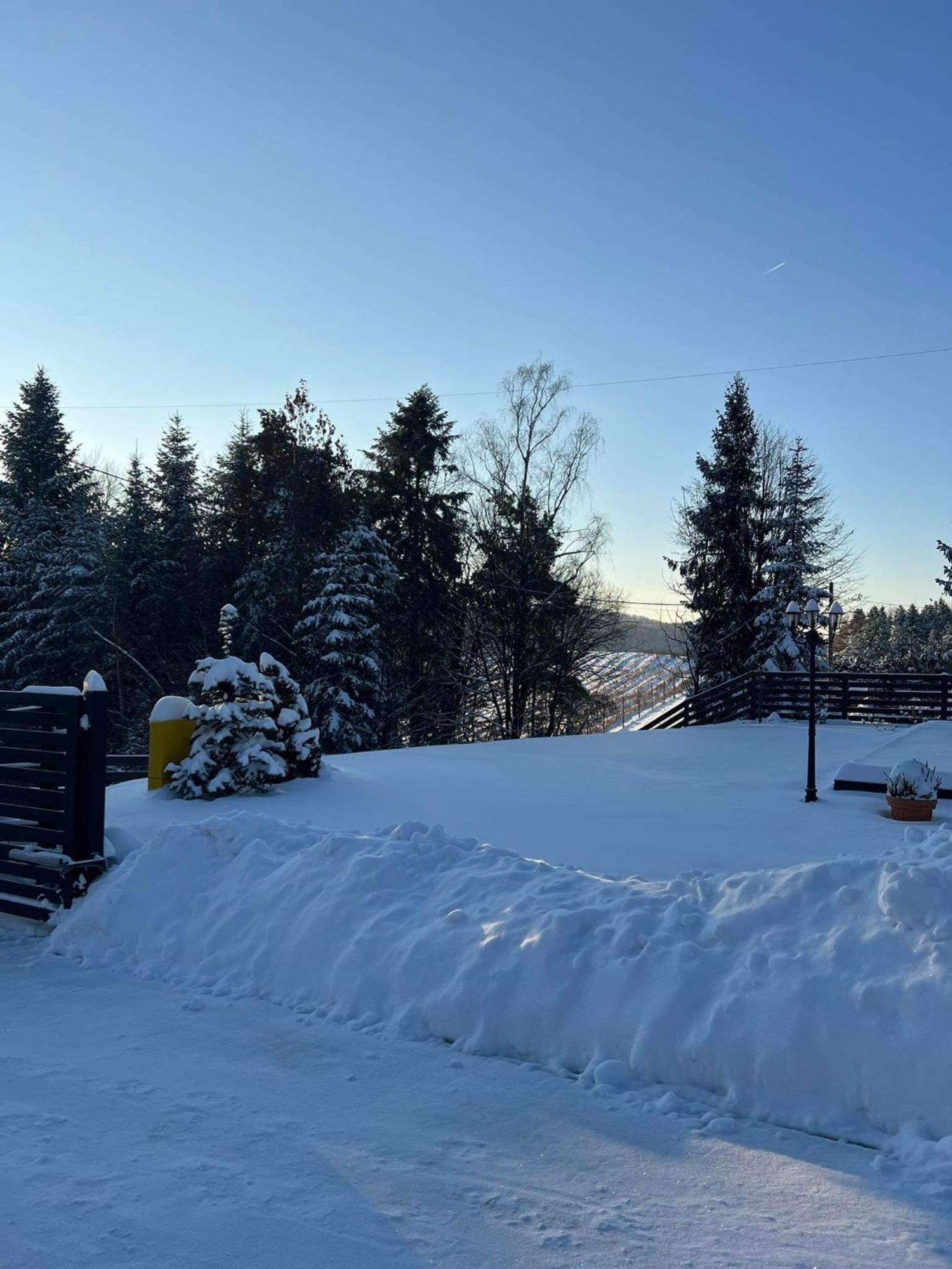 Apartmán Dom Na Borowkowym Wzgorzu Palesnica Exteriér fotografie