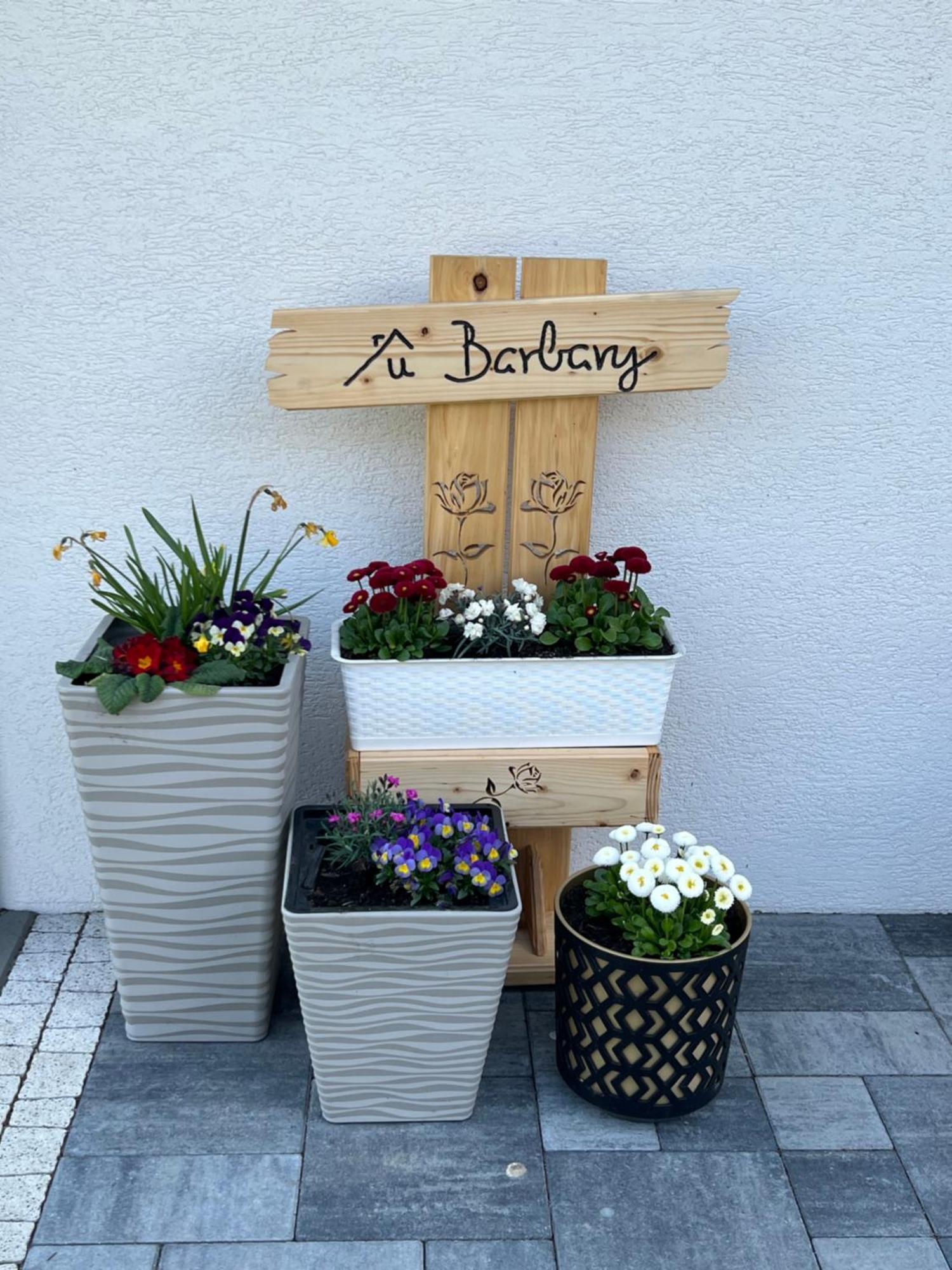 Apartmán Dom Na Borowkowym Wzgorzu Palesnica Exteriér fotografie
